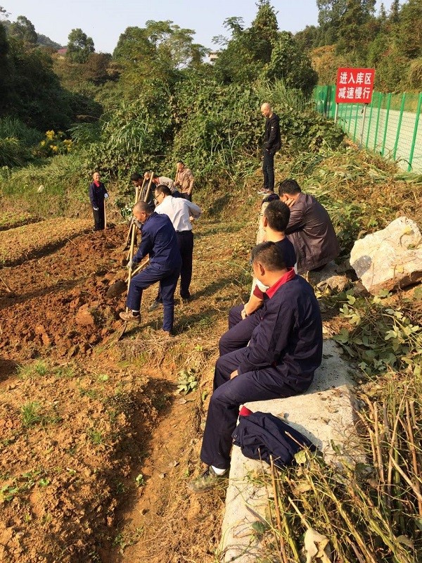 自耕自種，豐富職工業(yè)余生活